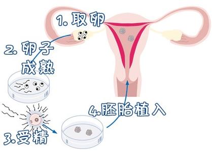 陈主任